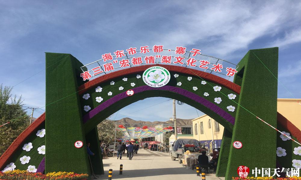 青海乐都梨花绽放赏花游客络绎不绝