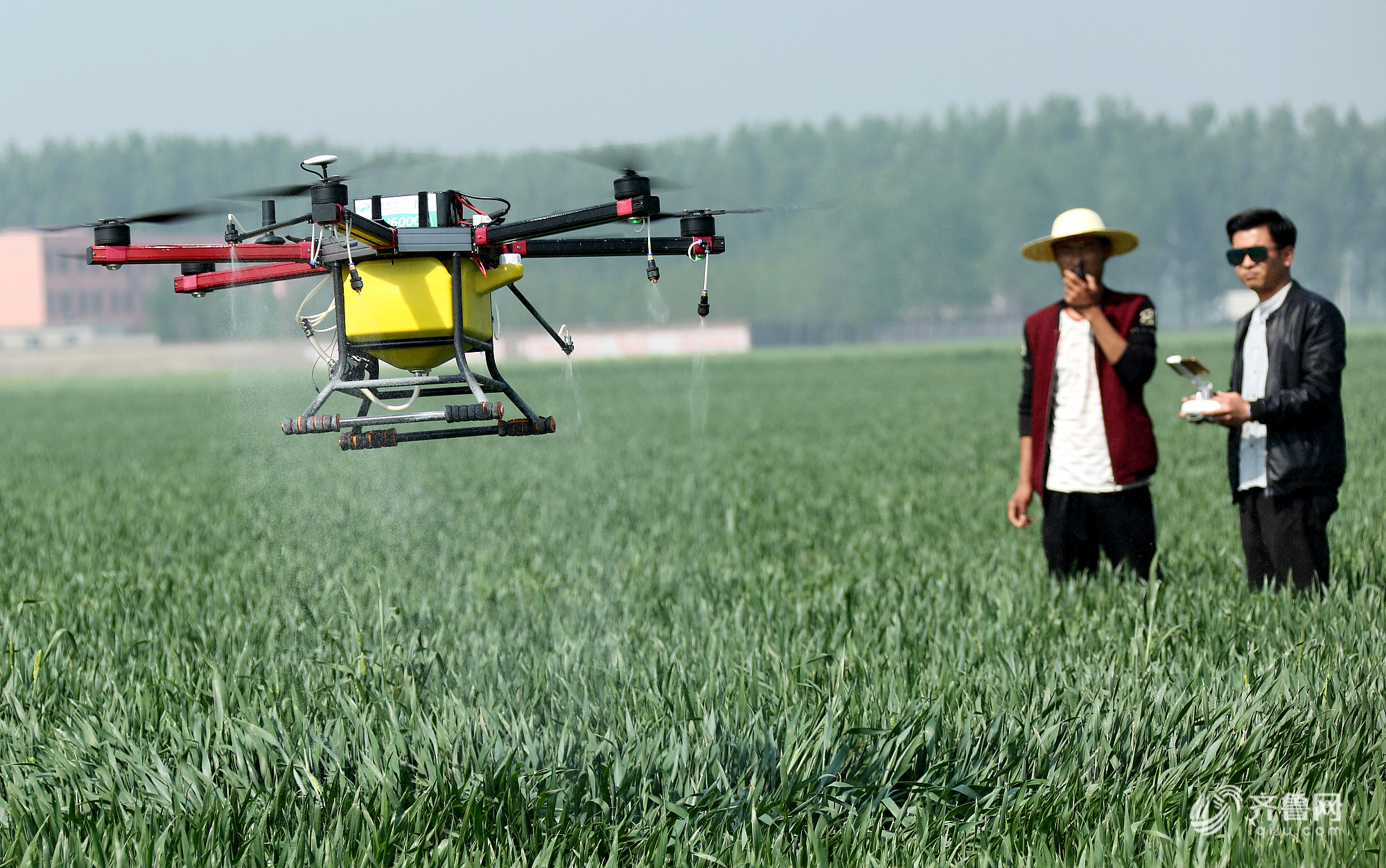枣庄全国种粮大户租赁无人机免费为贫困户小麦喷肥