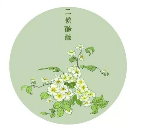 一候牡丹;谷雨三候对应的花信是:谷雨:花信戴胜降于桑丨戴胜,一名戴鵀