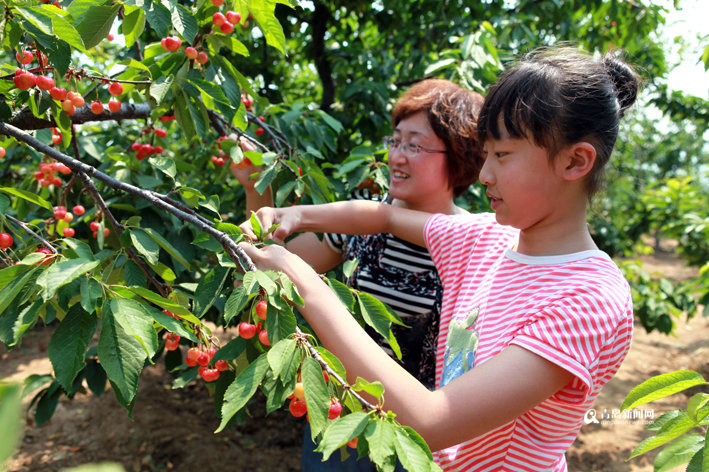 你想吃的新鲜水果都能在这里采摘啦
