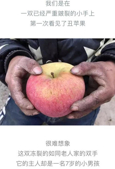 新说法水果滞销悲情大爷图被滥用官方指责失实营销