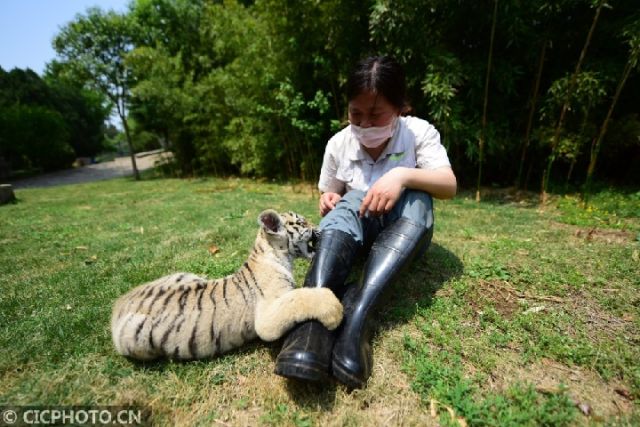 飼養員當