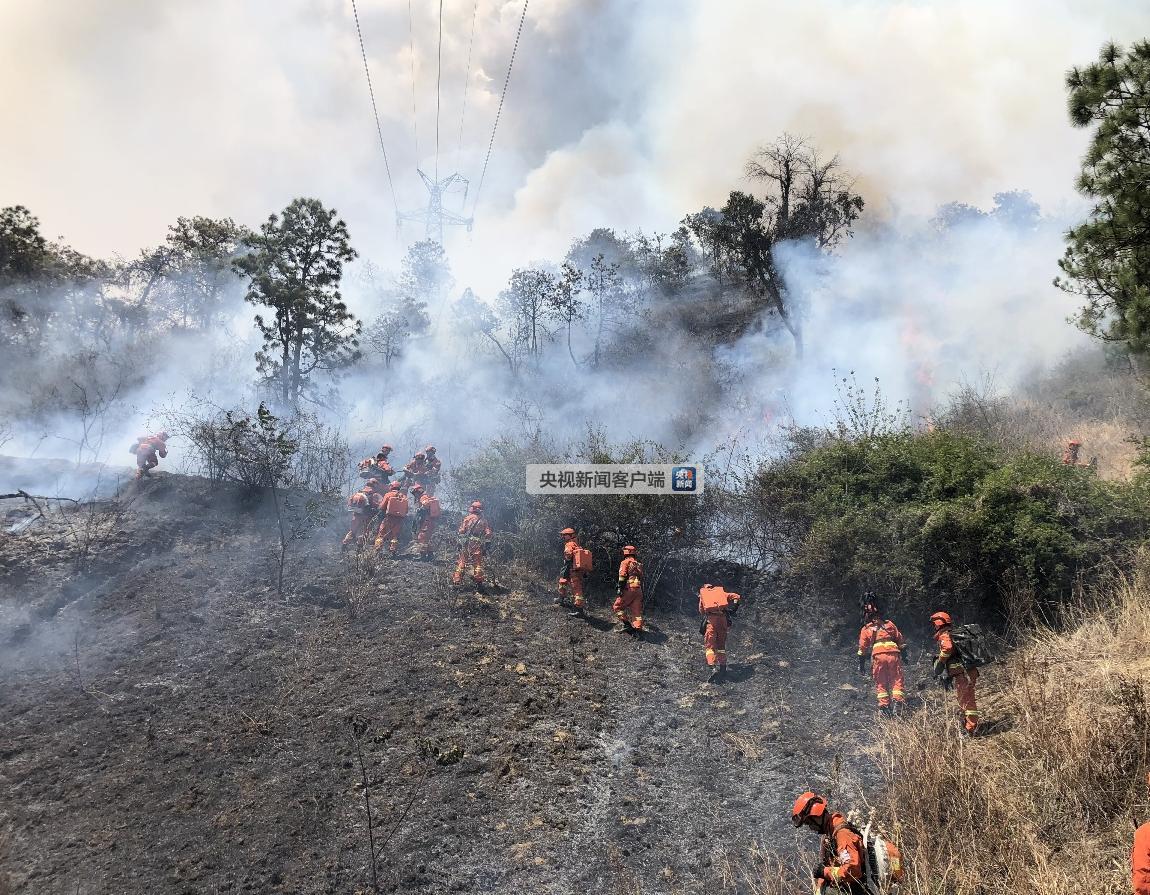 云南大理凤仪森林火灾已全部扑灭过火面积600亩