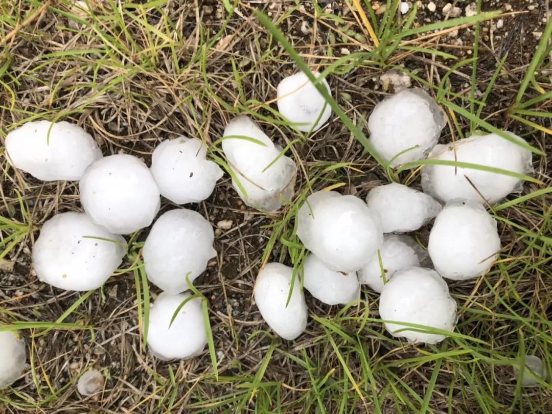 早安山东山东多地29号停水假的烟台突降冰雹最大直径超4厘米