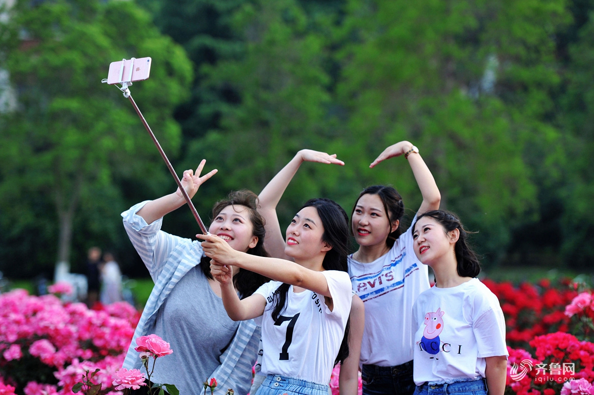沐浴花海 青岛大学生的花样年华毕业季