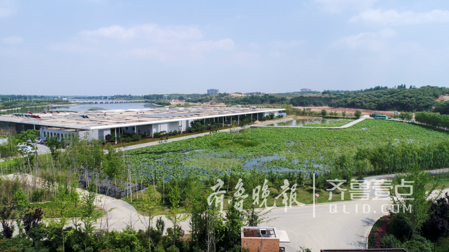 白鹭湾艺游小镇荣获省级首批特色小镇荣誉称号