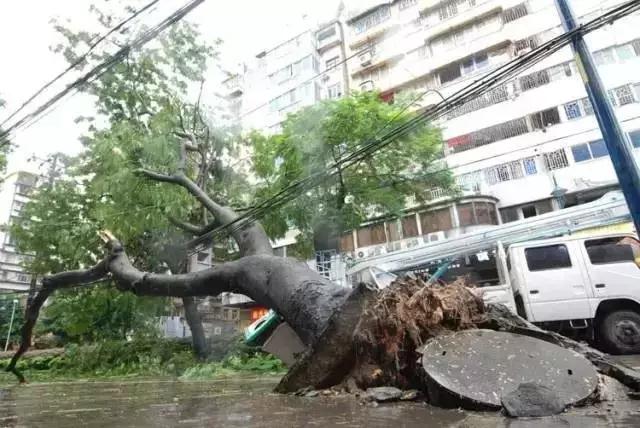 暴雨天母女公交站觸電死亡雨天如何防觸電這個知識帖能保命