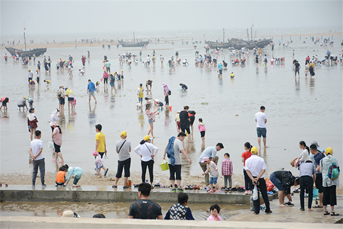 "十年为期·华丽转身" 日照市刘家湾赶海园景区蝶变再出发