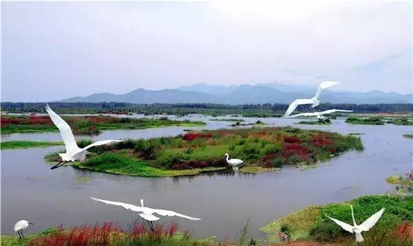 如果你喜歡水,那我會帶你去大汶河,天頤湖,天樂城,泰山溫泉城,東平湖