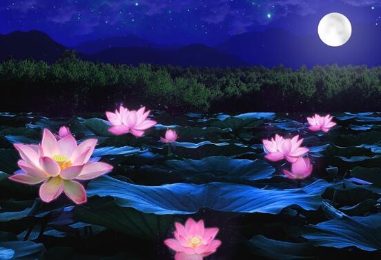 夜读丨跟随朱自清感受夏日里的一抹荷塘月色