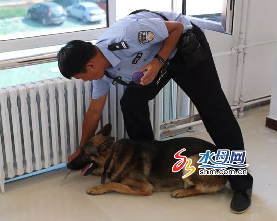 警犬图图闻味识盗贼 助警方抓获盗窃工友嫌疑人