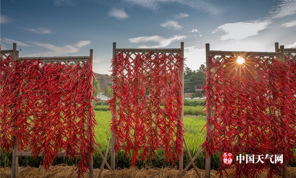 晒秋了中国梁平第一届晒秋节盛大开幕