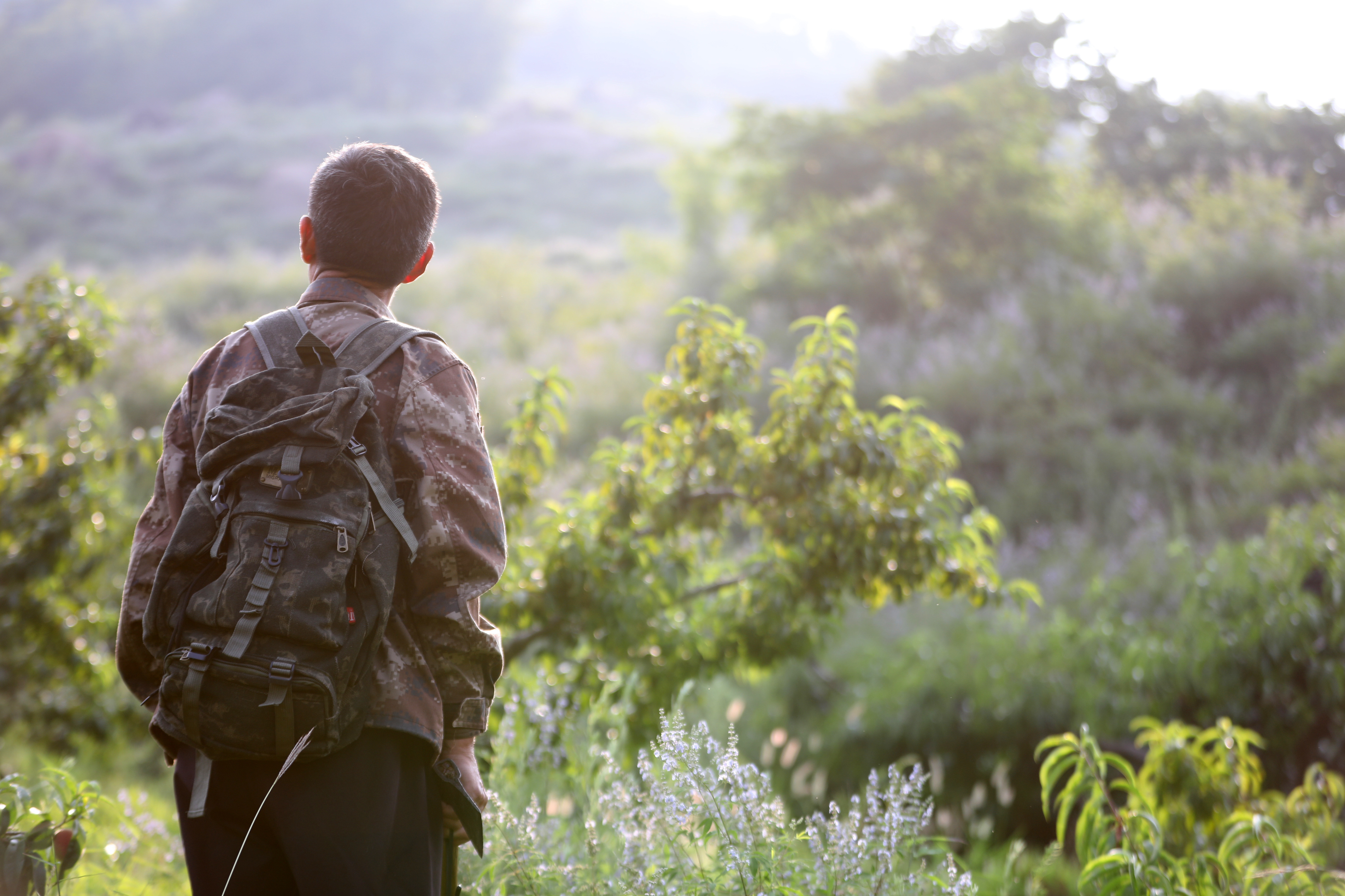 鲁山护林员宫卫平大山深处的坚守