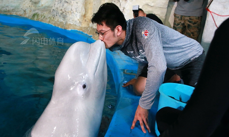 环渤海夏季联赛倡导海洋环保 cba群星与海洋动物亲密接触