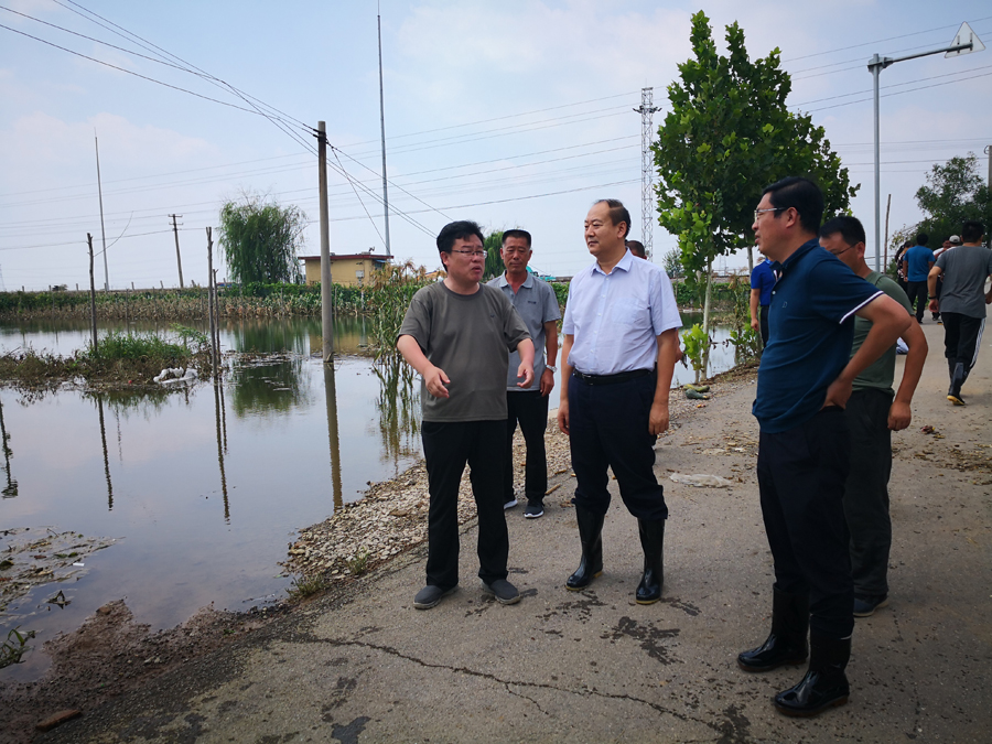上海同济大学建筑与城市规划学院到临朐县调研