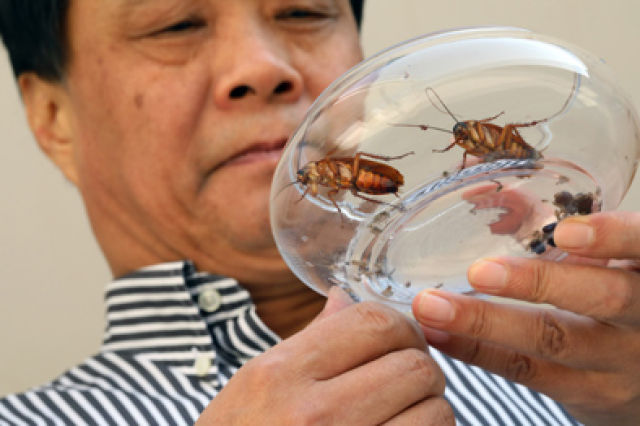 本报记者朱峥摄新华社北京9月21日电(记者邵琨)9月21日,《新华每日