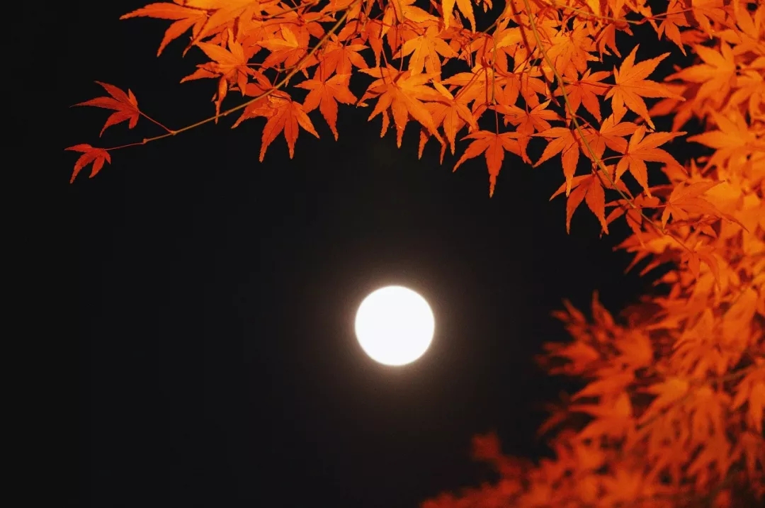 深秋的美月亮图片图片