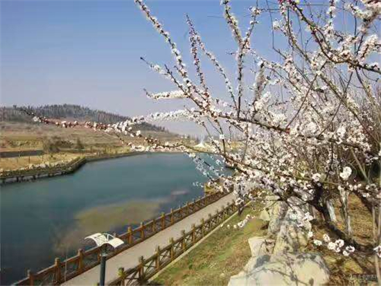 平阴积十年之功打造"一河一湖一路一街"之"锦水河"篇