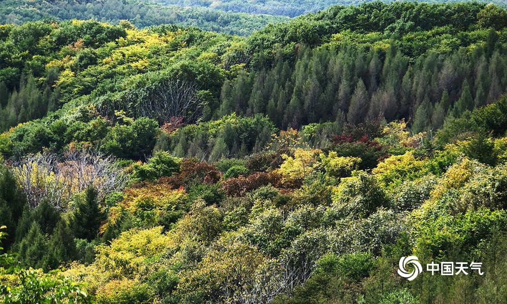 秋色斑斓层林尽染图片