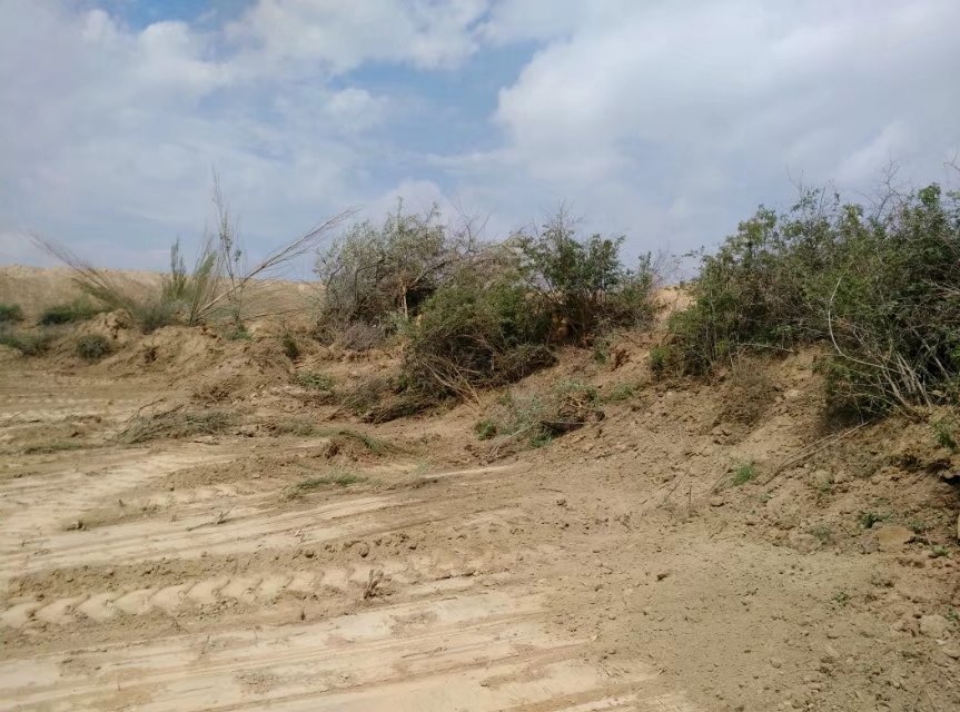 向甘肃省林业厅举报投诉一年多为何对兰州新区的大面积违法毁林下不了