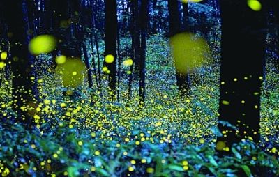 夜读|刘心武:你的善良,也许会温暖整个世界