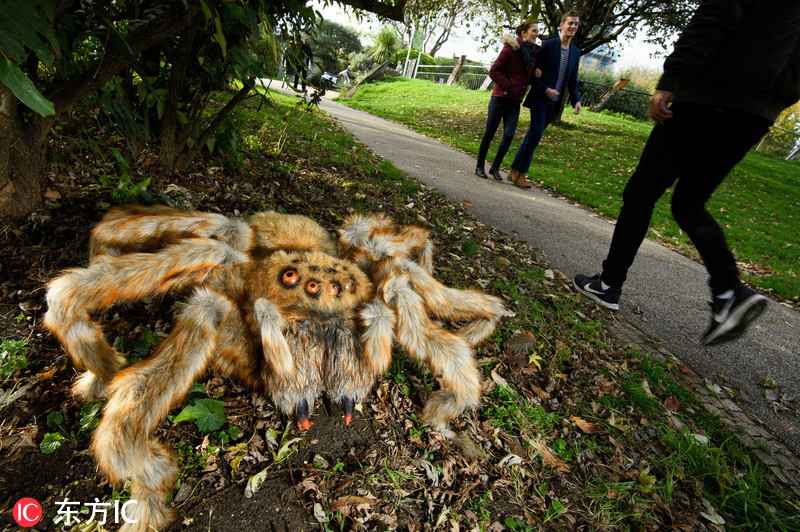 伦敦街头惊现巨型蜘蛛 移动速度超快还会袭击路人