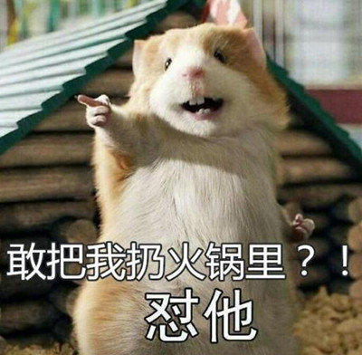 新说法北京顾客自带死老鼠向火锅店索赔500万