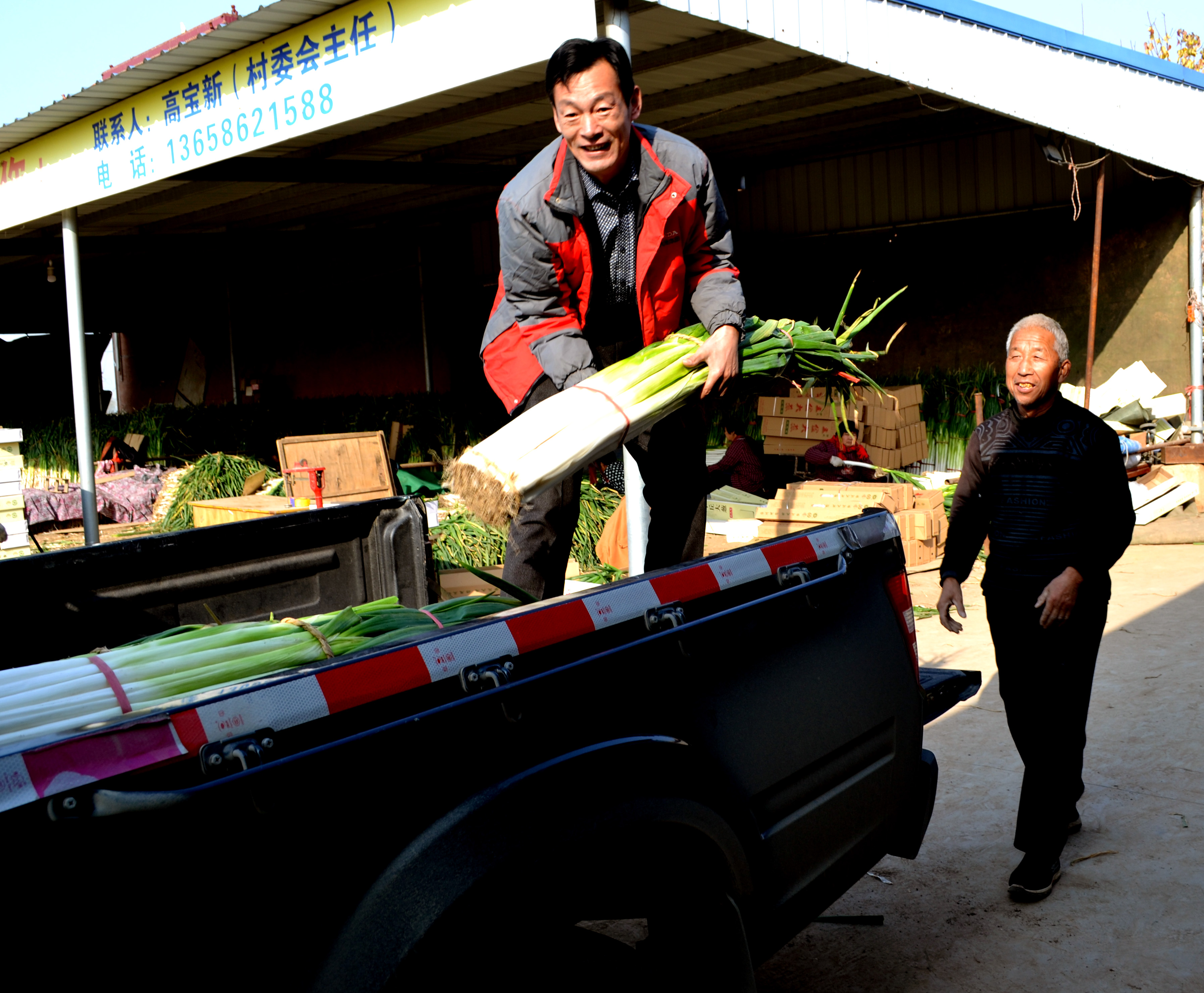 支书卖大葱一个月销售大葱超过30万斤