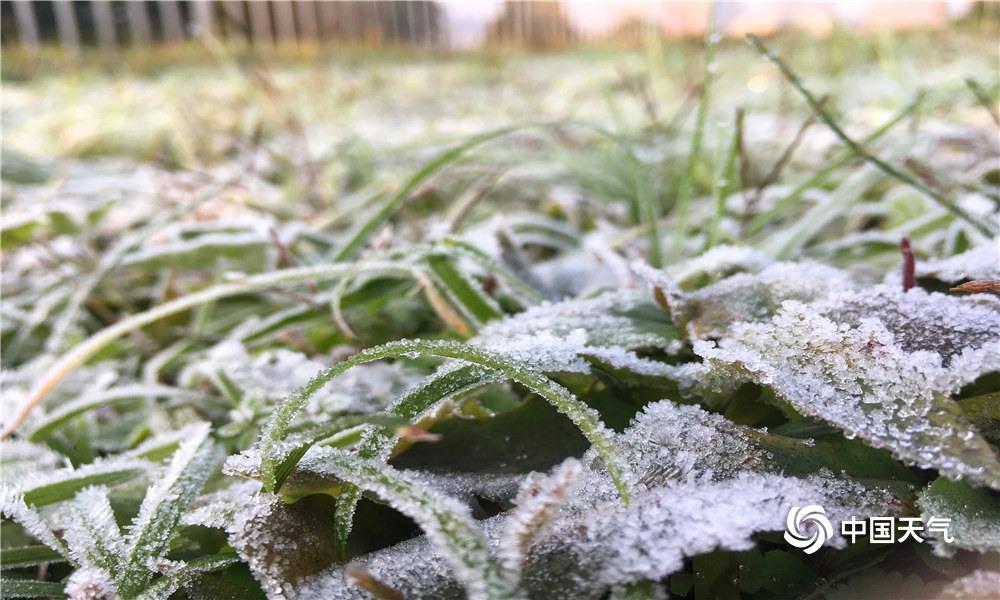 四川资阳出现今冬首次霜冻