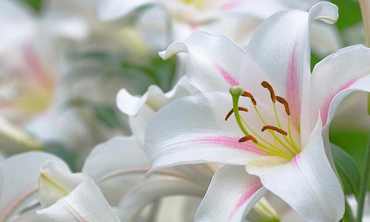 夜读谁说时光不能重回