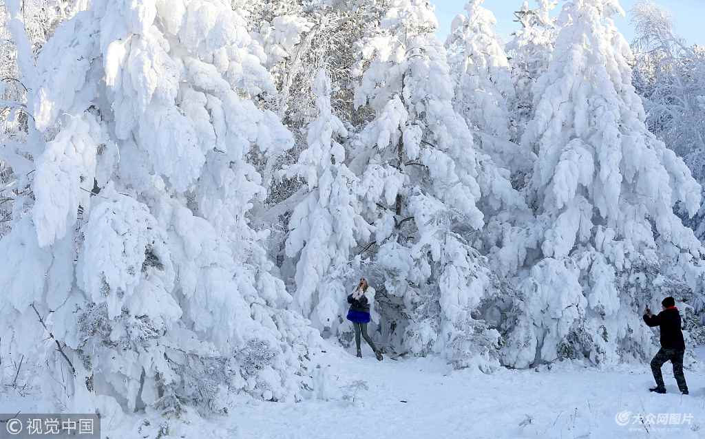 俄罗斯西伯利亚地区寒冬凛冽森林被积雪覆盖