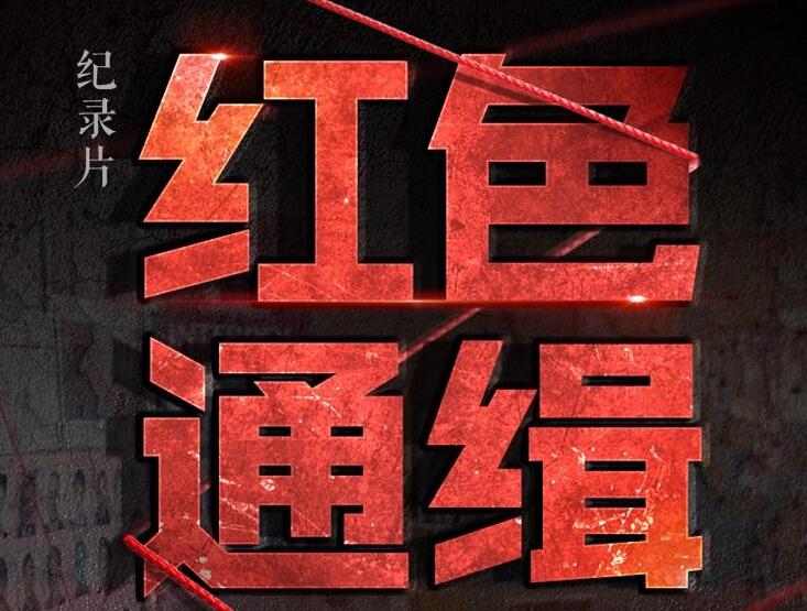 红通逃犯:发红色通缉令后偷渡集团想要处理掉我们