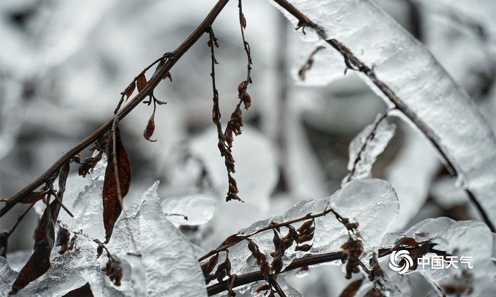(韦方龙/摄)2月13日白天,贵州省黎平县城区气温较前几日略有回升,该县