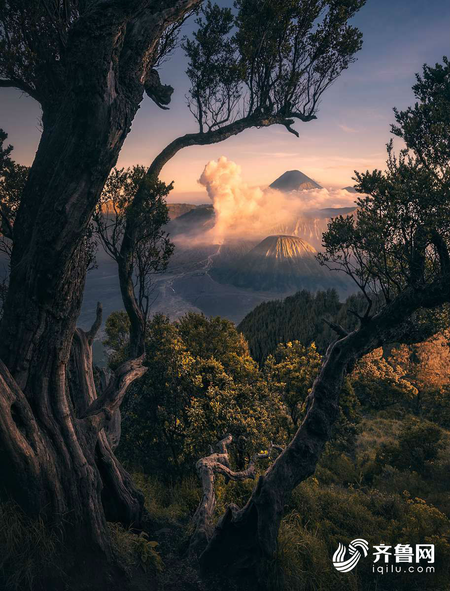 摄影师xiao zhu获奖作品.摄影师warren keelan获奖作品.