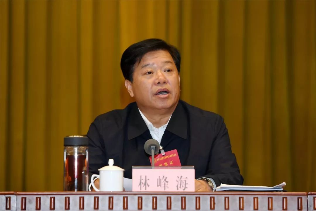 林峰海出席全省法院基本解决执行难表彰大会