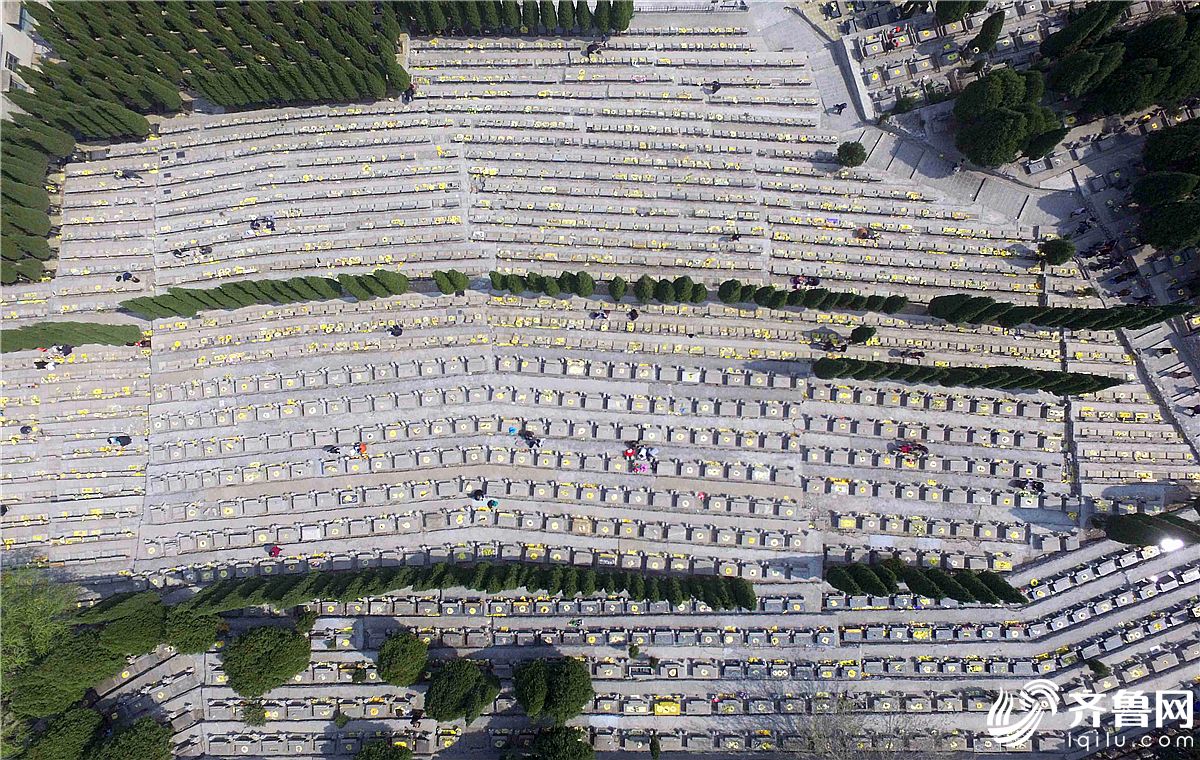 4月5日,济南玉函山公墓,前来祭扫的市民络绎不绝祭.