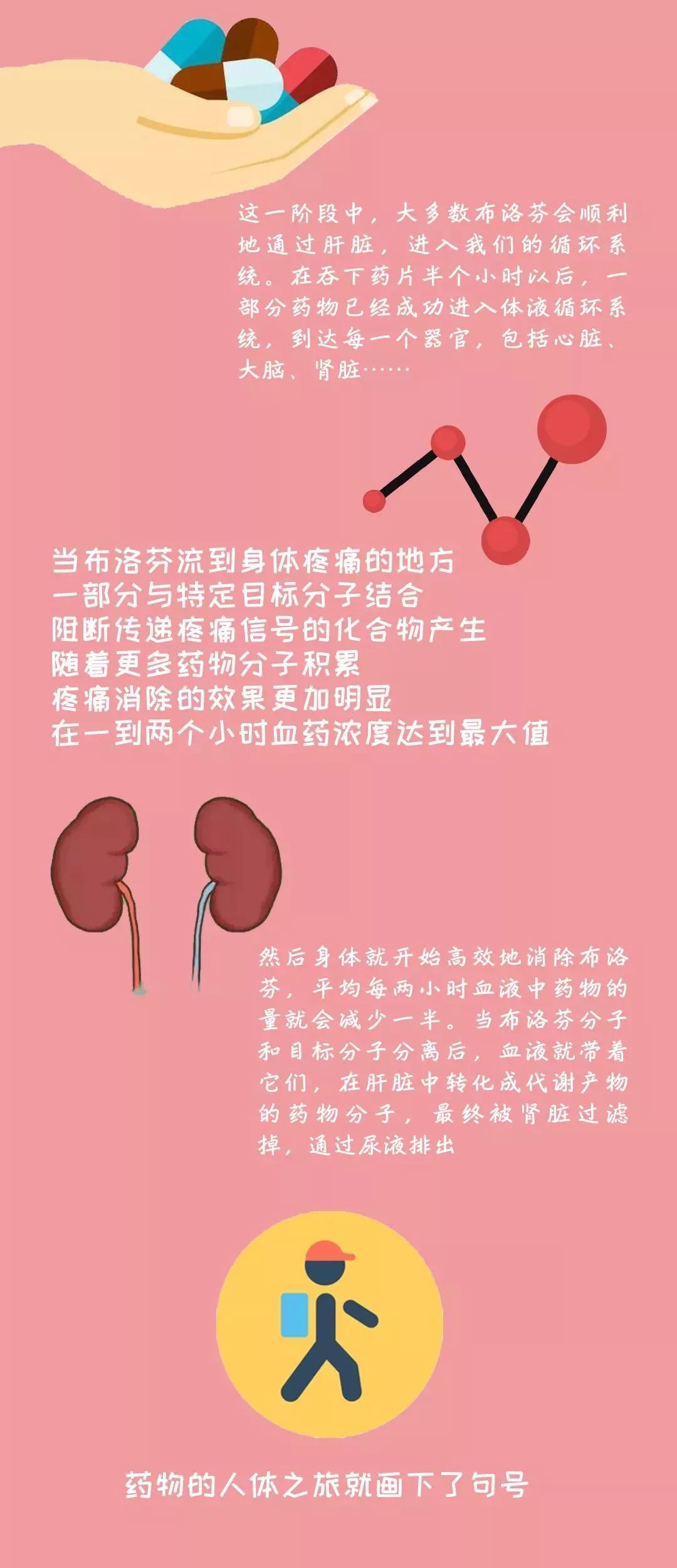 补肾药效果好_补药补肾_什么药补肾好