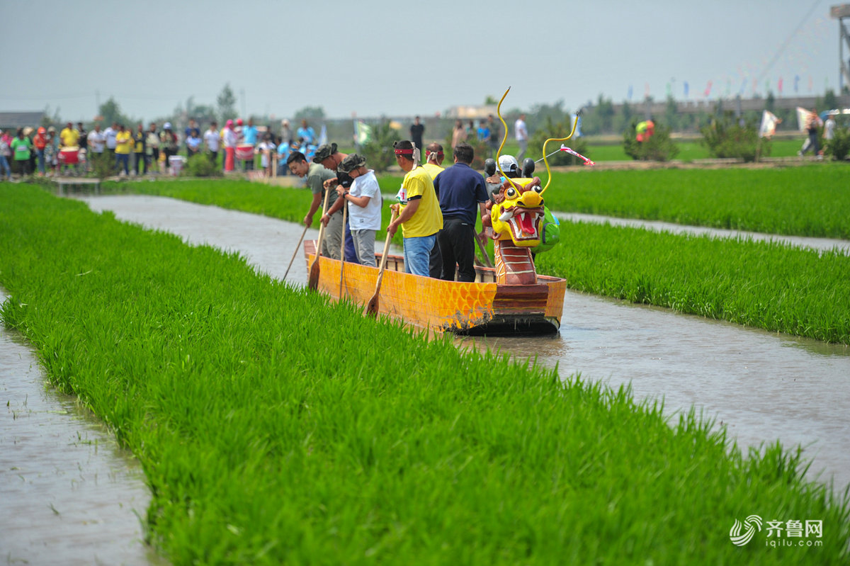 锡伯族每到端午节都会祭祀劳作,并将传统的运苗船经过装饰改造,做成泥