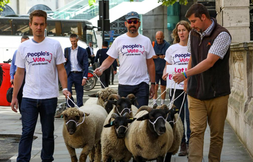 f5414f1bf1d468b7573962e4e06d7924.png 20190816014851545.png