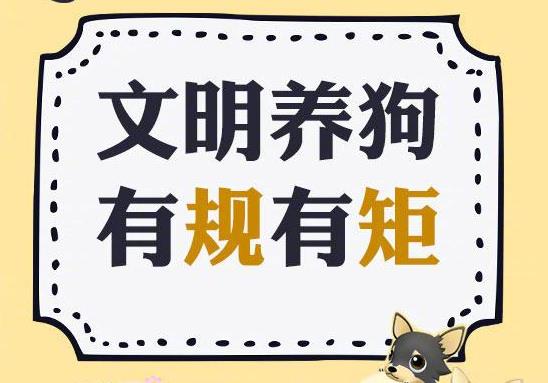 《济宁市养犬管理条例》9月1日正式实施