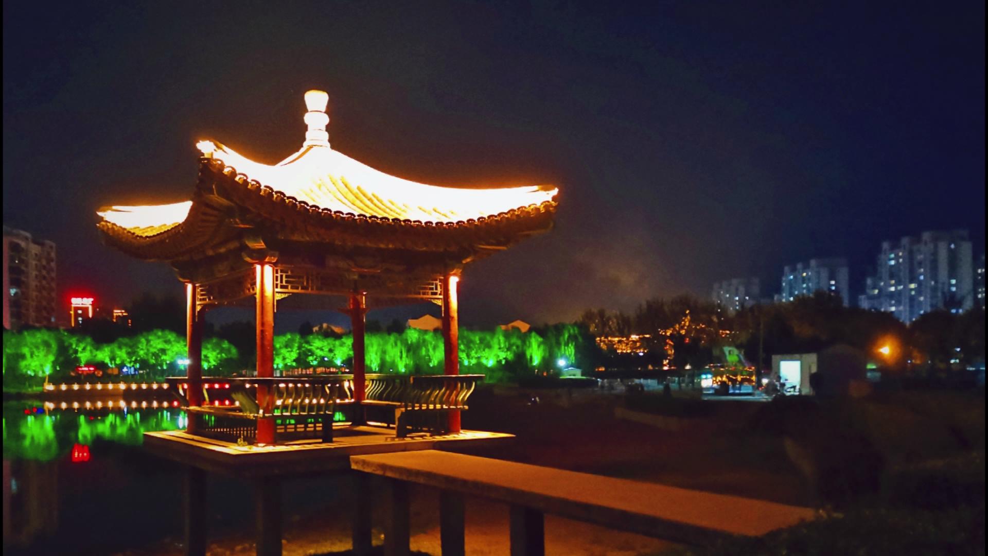 美图欣赏丨平原县琵琶湾公园夜景随拍