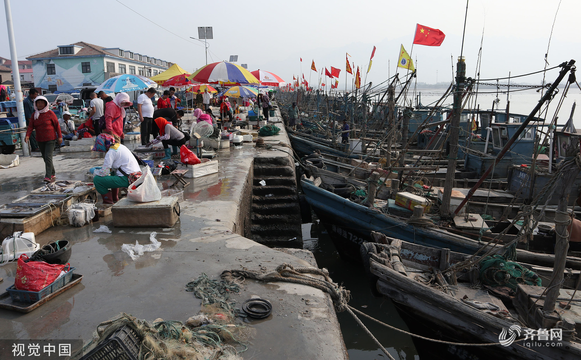 青岛港东码头小海鲜扎堆上岸市民欢乐扫货