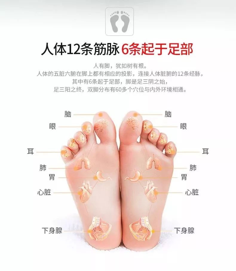 正确腿部经络手法图片