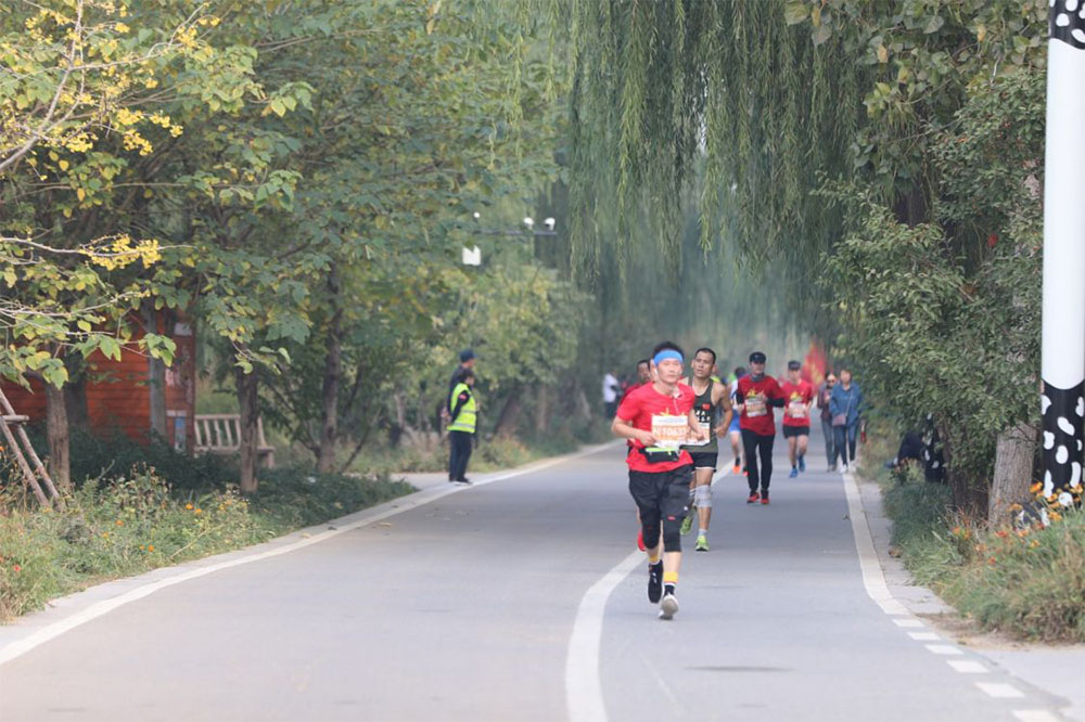 山东淄博高青县:激情马拉松 魅力天鹅湖