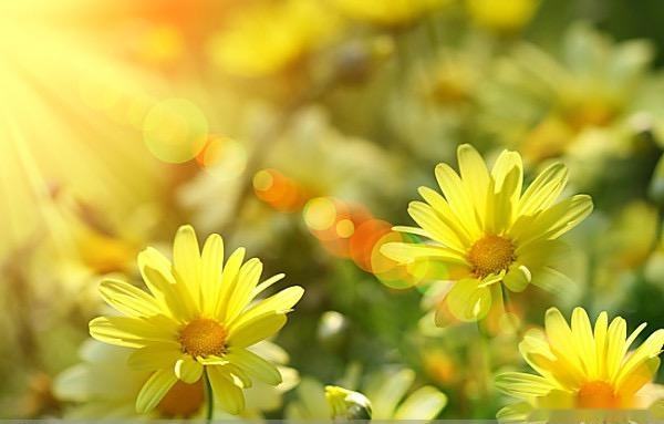 夜读丨毕淑敏明晨有最美的太阳