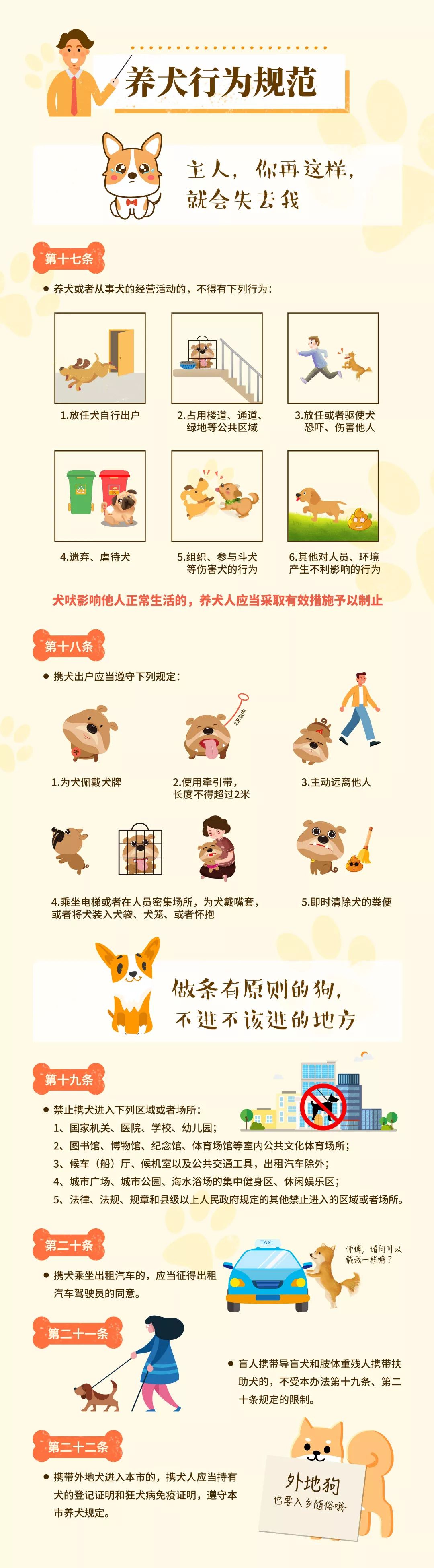 威海市养犬管理办法正式施行附超详细图解