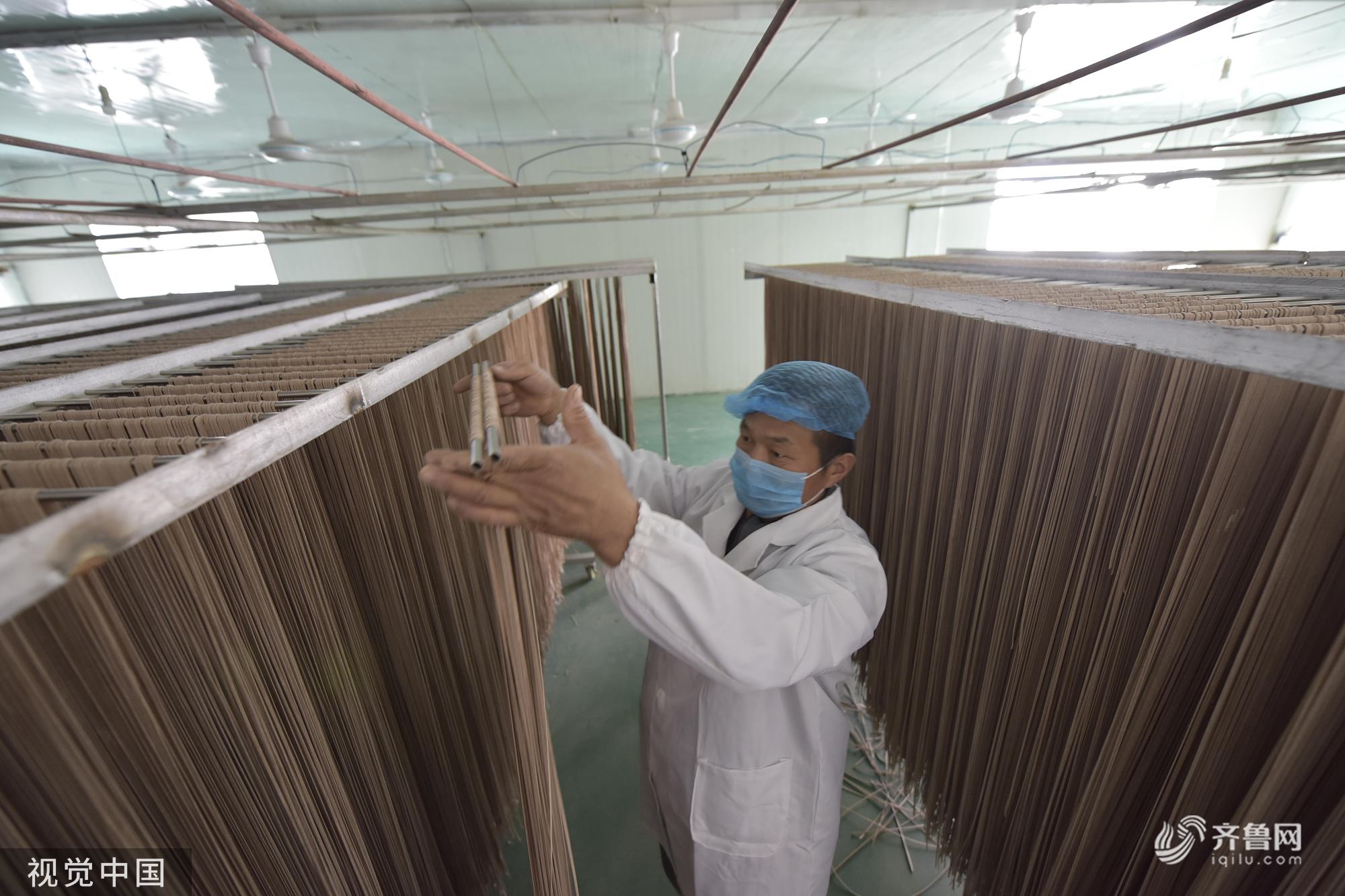 聊城小麦深加工订单挂面出国门