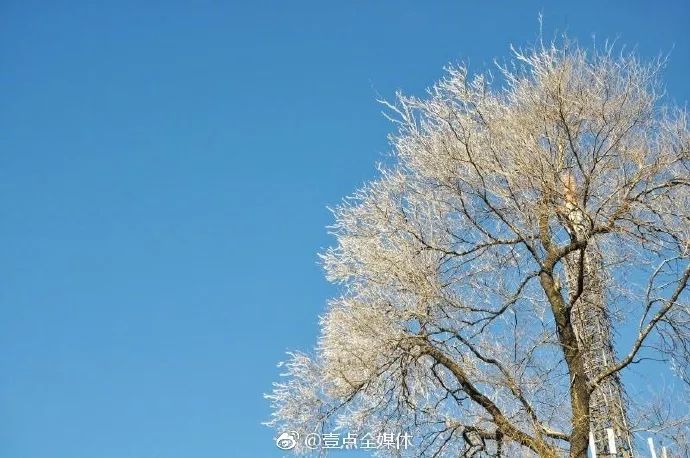 冬雪将至齐鲁大地上的这些冬季胜景让人大饱眼福