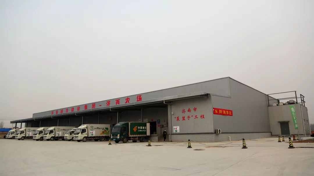 抗疫情,解民忧,保民生, 济西湿地农场全力做好百姓放心菜篮子