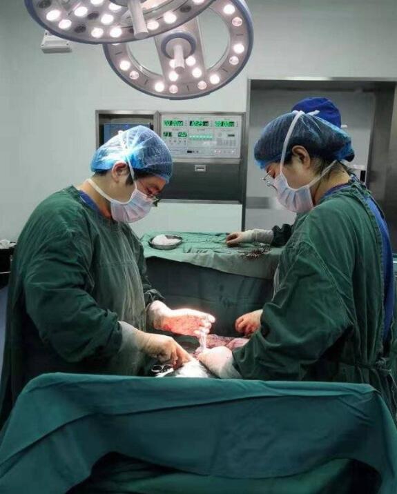 淄博市妇幼保健院战胜风险助两对龙凤胎顺利降生-闪电新闻